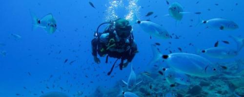 Mediterranean Diving Center